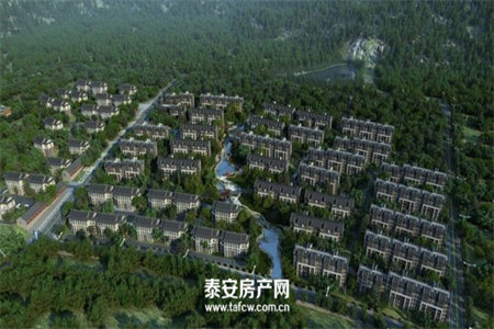 新大花园装修送20平方地面储藏室